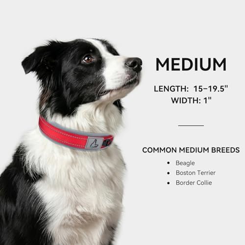 Joytale Reflective Dog Collar for Medium Dogs with Wide Padding, Red