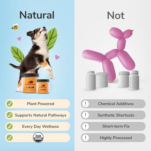 kin+kind Healthy Poops – USDA Organic Pumpkin Powder for Dogs and Cats – Prebiotic Pumpkin Powder, Supports Probiotic Activity – Med. 3-Pack (3 x 4 oz)