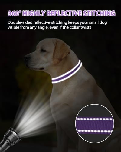 Joytale Feather-Light Dog Collar for Medium & Large Dogs, 1", Purple