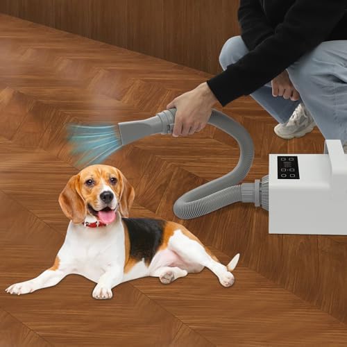 65dB Low Noise Pet Hair Dryer - 1900W Adjustable Temp 86-140°F Dog Cat Blower w/ 4 Nozzles & 90in Hose, Home Grooming Salon Tool