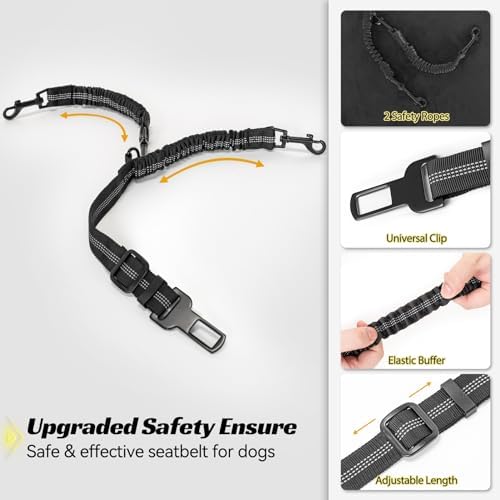 PETSFIT Dog Booster Car Seat, Medium/2 Small Dogs, 2 Safety Leashes, Storage Pockets, Under 45 lbs, Black