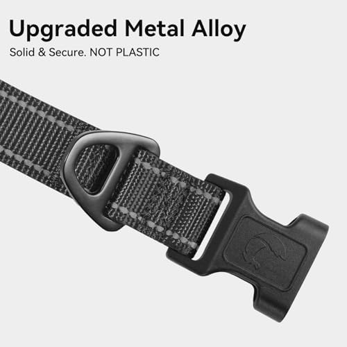 Joytale Reflective Dog Collar, Adjustable Neoprene Padded, Black XS