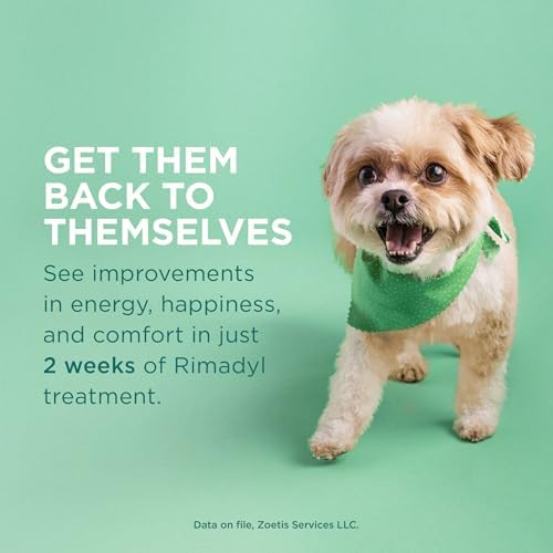 Rimadyl (carprofen) for Dogs, 25 mg, 60 Chewable Tablets