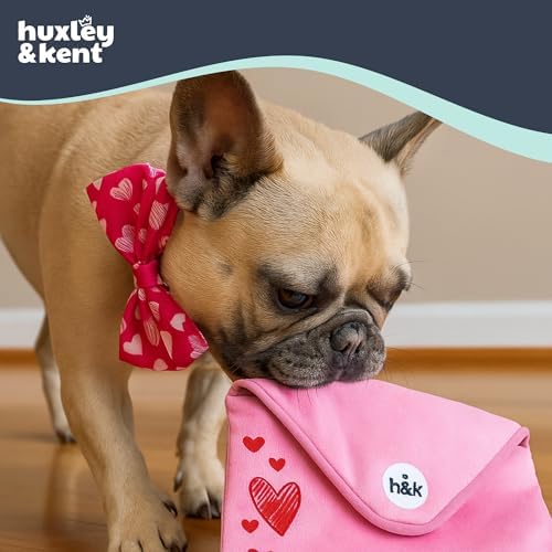 Huxley & Kent Seek 'n Treat Puzzle Dog Toy, Letter | Hidden Treat Pocket, Crinkle & Squeaker; Reinforced Seams & Mesh; Soft, Durable & Machine Washable