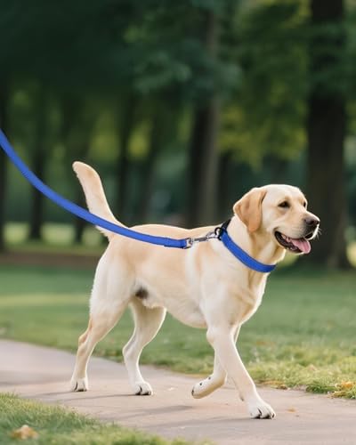 Joytale Feather-Light Dog Collar for Medium & Large Dogs, 1", Navy Blue