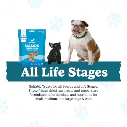 McLovin’sFreeze Dried Salmon Dog Treats, 98% Real Fish Meat Bites for Puppies & Cats, Nutrient-Dense Food Topper & Training Rewards for Sensitive Tummies, No Oil Mess, Made in USATotal 7.2 oz