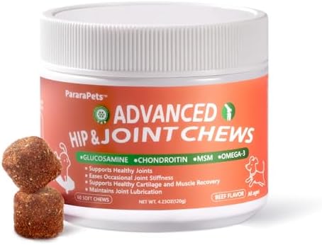 Advanced Dog Hip and Joint Supplement with Glucosamine, Chondroitin, MSM, and Vitamin C, Beef Flavor, 60 Soft Chews