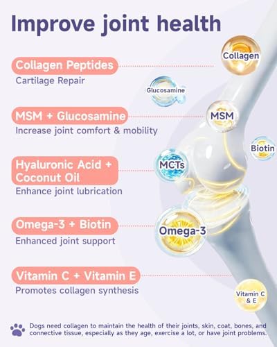 Collagen for Dog Liquid - Support Hip Joint Mobility, Skin Coat, Bone 60ML