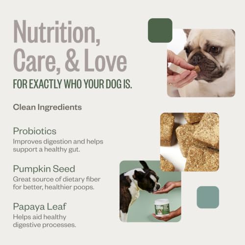 Ollie Belly Rubs Probiotic Dog Chews, Appx. 60 Count