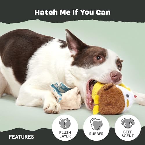 Barkbox Hatch Me If You Can Dog Toy for Medium to Large Aggressive Chewers Two-Layer Tearable Toy with Hidden Surprise Inside for Interactive Playtime | for to Aggressive Chewers Two-Layer Tearable Toy with Hidden Surprise Inside for Interactive Playtime