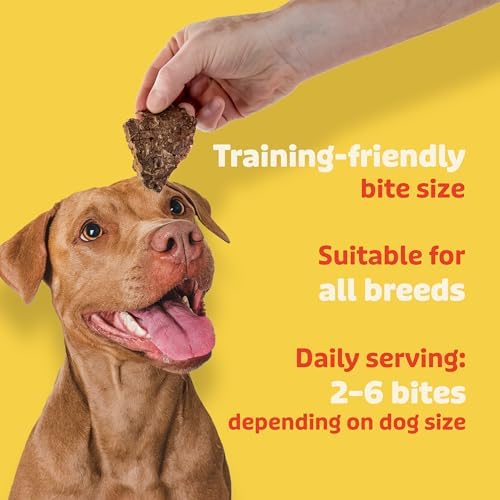 Lovie Beef Lung Dog Treats - Dehydrated Air Dried Soft Bites, Single Ingredient, Protein Rich, 16 oz