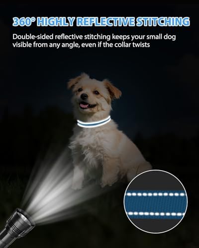 Joytale Feather-Light Dog Collar for Small & Medium Dogs, 3/4", Sky Blue