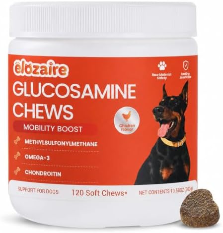 Senior Dog Joint Supplement Chews, Glucosamine MSM Chondroitin, 120ct