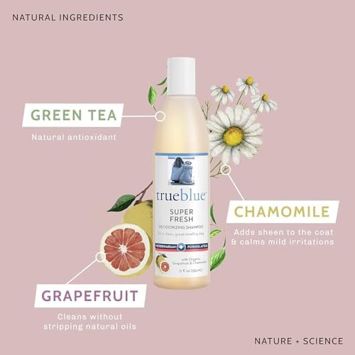 TrueBlue Grapefruit & Chamomile Deodorizing Dog Shampoo – Cleansing Wash, Moisturizing – Toxin Free, Natural Botanical Blend – Tearless – 12 Fl. Oz.