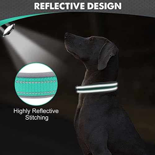 Joytale Reflective Dog Collar for Large Dogs with Wide Padding, Teal