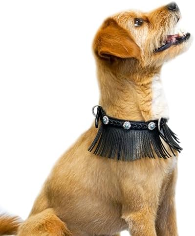 Blueberry Pet Western Fringe Black Microfiber Textured Leather Collar with Turquoise Conchos