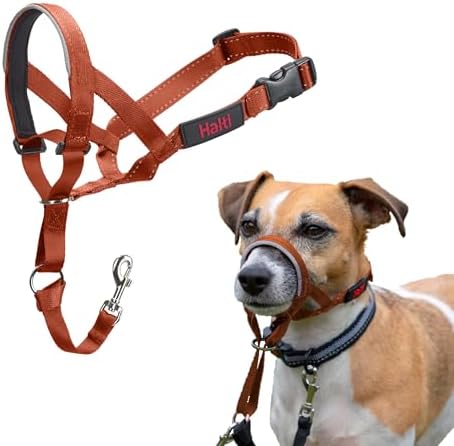 Halti Headcollar | Size 1, Burnt Orange | Training Collar for Small Dogs