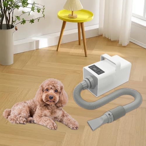 Pet Grooming Hair Dryer 1900W Negative Ion Low Noise Adjustable Speed Temperature for Dogs Cats Home Salon