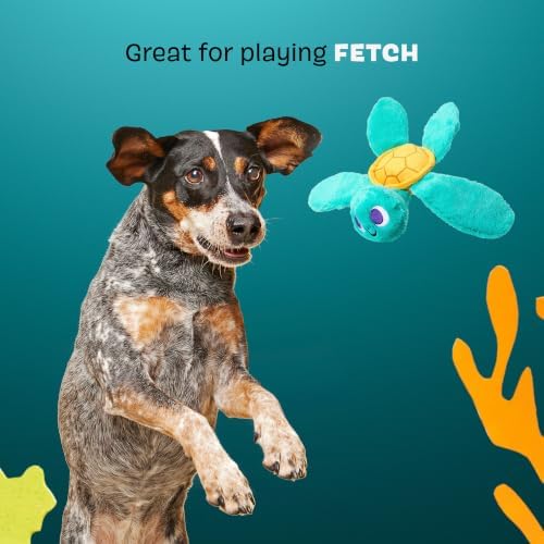 BarkBox Stevie Sea Turtle Dog Toy - Extra Small to Small Dogs | Plush Sea Turtle Toy with Whip-N-Flip Fins, Squeaker and Crinkle | Fetch and Thrash | 9-20 lbs