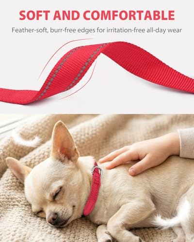 Joytale Feather-Light Puppy Collar for Extra Small Dogs, 3/8", Red