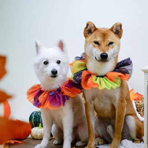 Blueberry Pet Halloween Party Adjustable Breakaway Costume Dog Collar in Cool Tone, X-Small