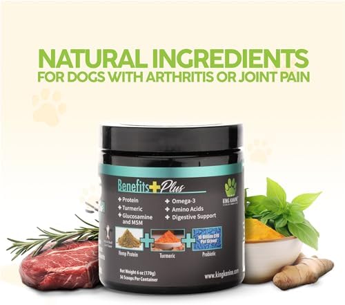 King Kanine Strong Plus Probiotic, Protein & Joints 6 oz | Organic Powder to Improve Join Mobility & Gut Health | Supplement for Dogs Care Made with Minerals & Vitamins | Veterinarian Approved