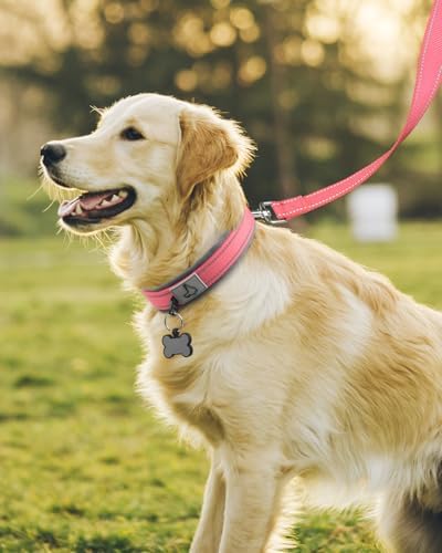 Joytale Reflective Dog Collar for Large Dogs with Wide Padding, Pink