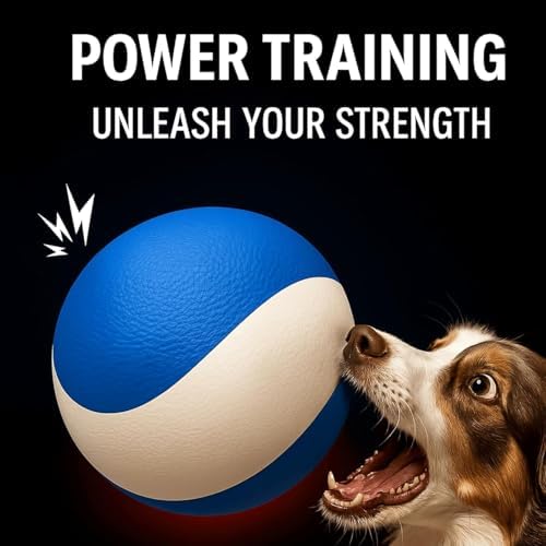 Squeaky Dog Toy, Durable Rubber Ball, Medium & Large Dogs, Ocean