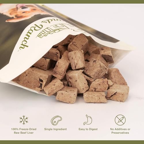 BADLANDS RANCH by Katherine Heigl – Superfood Bite Freeze-Dried Raw Beef Liver Dog Treats – High Protein Single-Ingredient Snacks for Training, Rewards & Daily Wellness – 4 oz (Pack of 8)