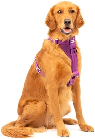 Kurgo Enhanced Strength Tru-Fit Smart Harness, Deep Violet, Large