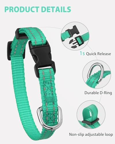 Joytale Feather-Light Puppy Collar for Extra Small Dogs, 3/8", Turquoise