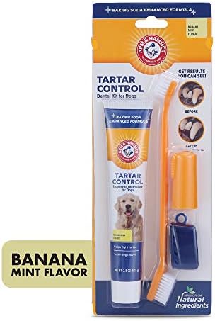 Arm & Hammer Tartar Control Dog Dental Kit, Banana Mint, 3-Piece, 2-Pack | Enzymatic toothpaste with toothbrush and fingerbrush, baking soda formula safe for puppies