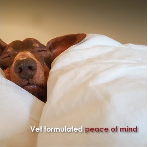 for Dogs