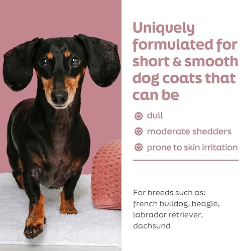 True Coat Short & Smooth Coat Dog Shampoo, 5 in 1 Soothes & Shines with Oat Milk, Coconut Oil & Vitamin E, 16 oz