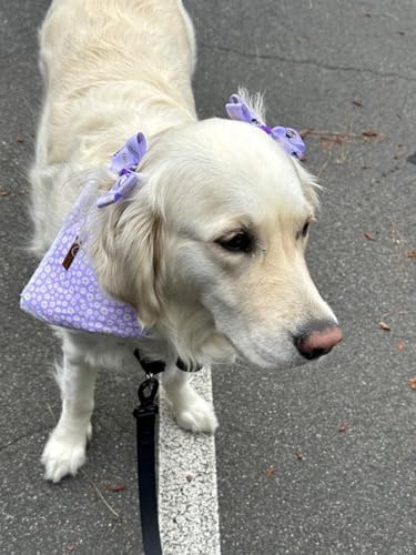 Lionet Paws Spring Daisy Dog Bandana Washable Cotton Handkerchief Scarf Triangle Purple Bandana for, Small (Pack of 1), Small, Purple