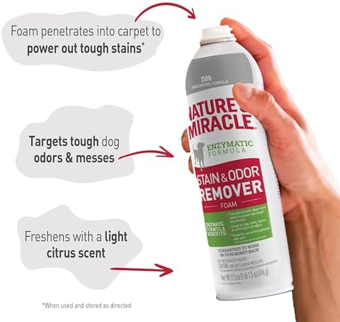 Nature's Miracle Dog Stain & Odor Remover Foam, Enzymatic Cleaner, 32 oz