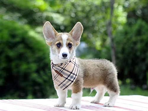 Lionet Paws Dog Bandana Washable Cotton Handkerchief Scarf Triangle Bandana for Small Medium Large, Large (Pack of 1), Small, Grey