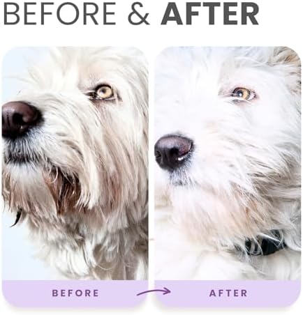 Lillian Ruff PRO Formula Ultra Brightening Dog Shampoo - Professional Whitening & Long-Lasting Odor Eliminator, Remove Stains & Discoloration, Dry Skin & Itch Relief - Aloe & Provitamin B5 Gallon+Pump