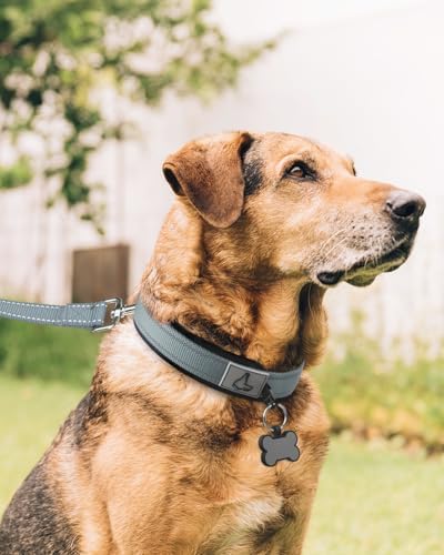 Joytale Reflective Dog Collar for XLarge Dogs with Wide Padding, Gray