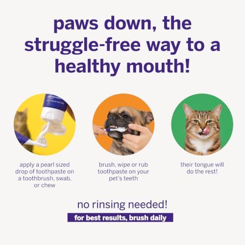 Petsmile VOHC Accepted Pet Toothpaste, London Broil 2.5 Oz, Cats + Dogs | VOHC Accepted, Calprox® Powered, Fights Plaque + Tartar, No-Brush Required, Human-Grade, 4-Month Supply, Clinically Proven