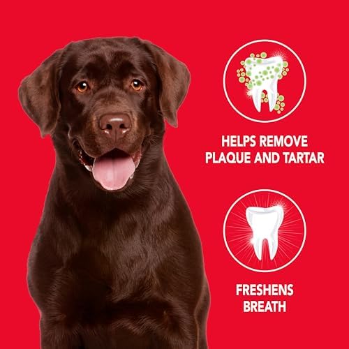 Petrodex Enzymatic Dog Toothpaste, Poultry Flavor, 2.5oz | Cleans teeth & fights bad breath; reduces plaque & tartar buildup; enzymatic, no-rinse formula; travel-size 2.5oz