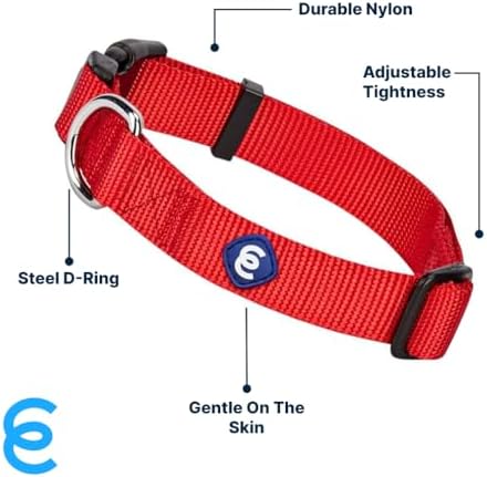 Blueberry Pet Essentials Medium Dog Collar in Rouge Red | Adjustable & Eco-Friendly Durable Nylon Strap | Classic Collar for X-Small Dogs, Boy & Girl Pets