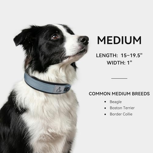 Joytale Reflective Dog Collar for Medium Dogs with Wide Padding, Gray
