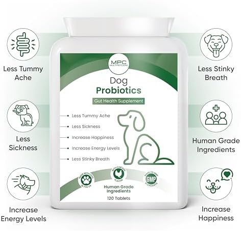 Probiotics for Dogs – 5-Strain 2 Billion CFU + Digestive Enzymes & Prebiotics | Gut Health, Firm Stools, Less Gas & Bloating | Full B-Complex Vitamins in One Tablet | Chicken Flavor | UK GMP | 120 Ct