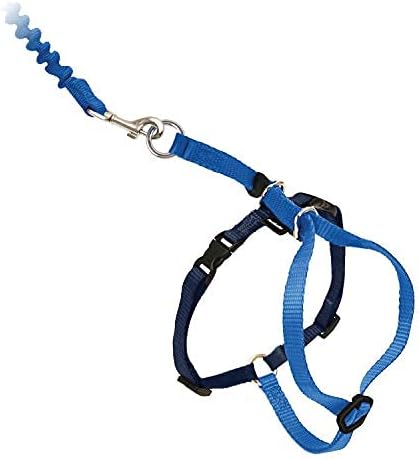 PetSafe Come With Me Kitty Harness and Bungee Leash, Harness for Cats, Large, Royal Blue/Navy, CWMK-L-RYL | Adjustable 2-Point Fit Applies Gentle Pressure to Shoulders, Not Neck, for Average and Large Cats with 13 in - 18 in Girth