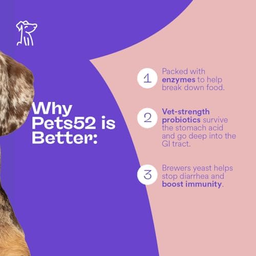 Pets 52 - Digestive Dog Probiotics with Enzymes - Supports Healthy Gut Flora, Boosts Immune System, Promotes Stomach Comfort, Vet-Strength Formula for Improved Digestion - 30-Day Results