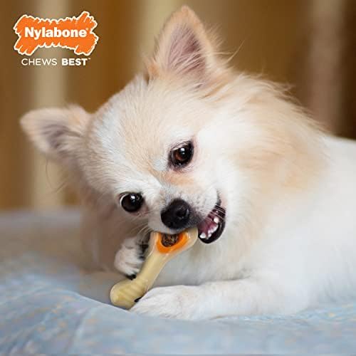 Nylabone Power Chew Knuckle Bone & Pop-In Dog Treat Toy, X-Small | Chicken flavor, includes 4 natural treats, dog enrichment, interactive dog toys to keep them busy, for dogs up to 15 lbs