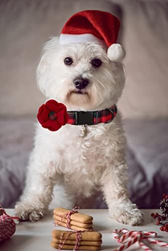 Lionet Paws Christmas Dog Collar with Felt Flower, Dog Flower Collar with Metal Buckle for Dogs, Adjustable Comfortable Dogs Collars Girl, XL, Neck 16-26 in