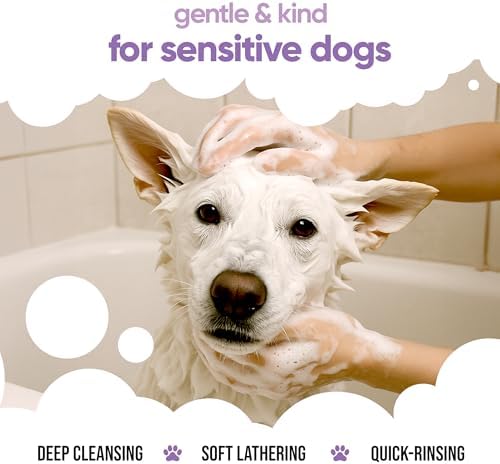 White Dog Shampoo by Buddycare (33.8oz) | Brightening and Whitening Shampoo for Dogs | Deep Cleansing, Fresh Scented | with Aloe Vera and Pro Vitamin B5