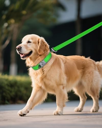 Joytale Reflective Dog Collar for XLarge Dogs with Wide Padding, Green